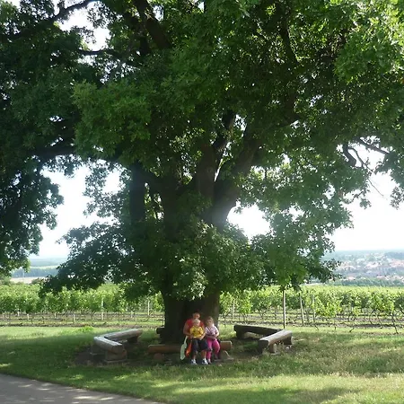 Ubytovani Nad Sklipkem *
